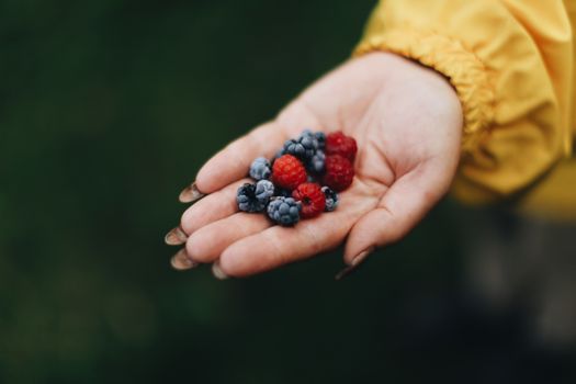 Crop anonymous female with manicure demonstrating handful of ripe delicious raspberry and blackberry in garden on blurred background