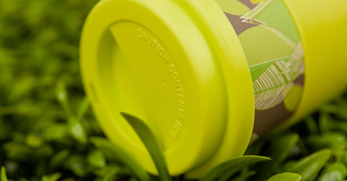 10 Easy Sustainable Living Tips to Help You Go Green Today 10 Easy Sustainable Living Tips to Help You Go Green Today