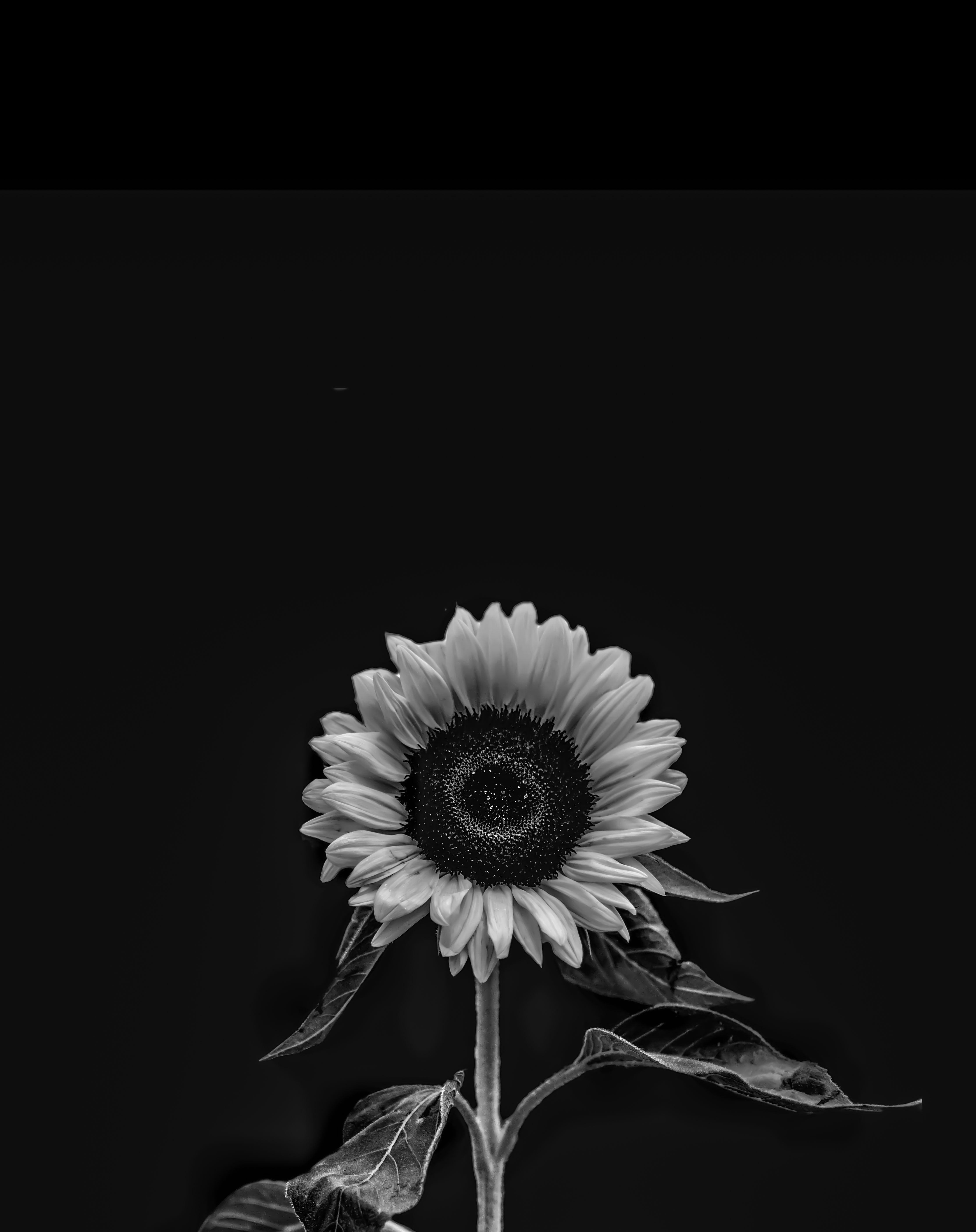Black 4k Wallpaper Photos, Download The BEST Free Black 4k Wallpaper