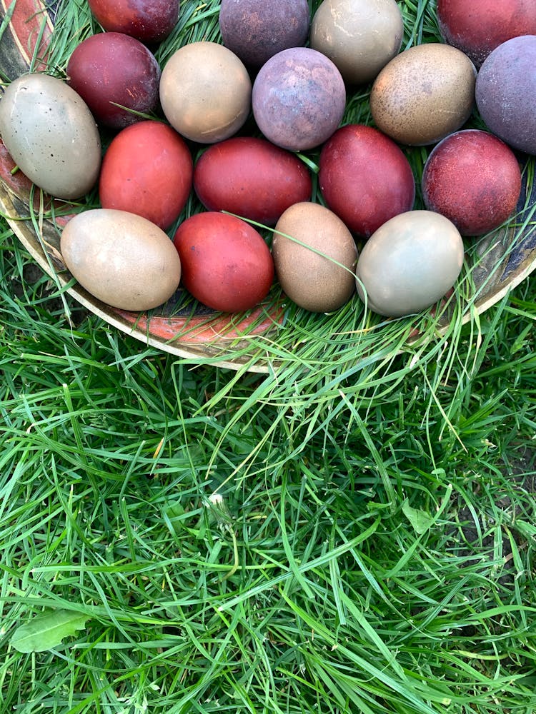 Purple And Pink Easter Eggs On Green Grass