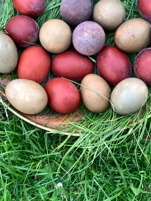 Gratis Foto stok gratis Cangkang telur, liburan, penuh warna Foto Stok