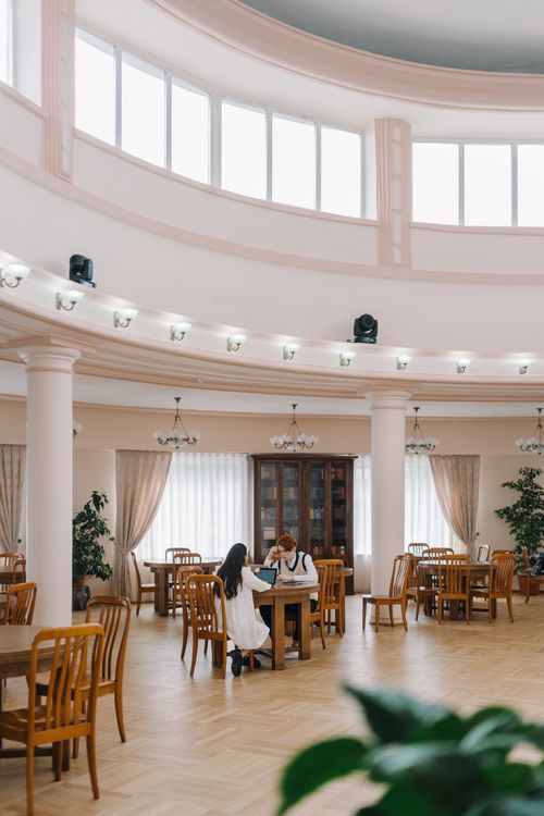 Free Two students studying together in a spacious, elegant library with high ceilings. Stock Photo