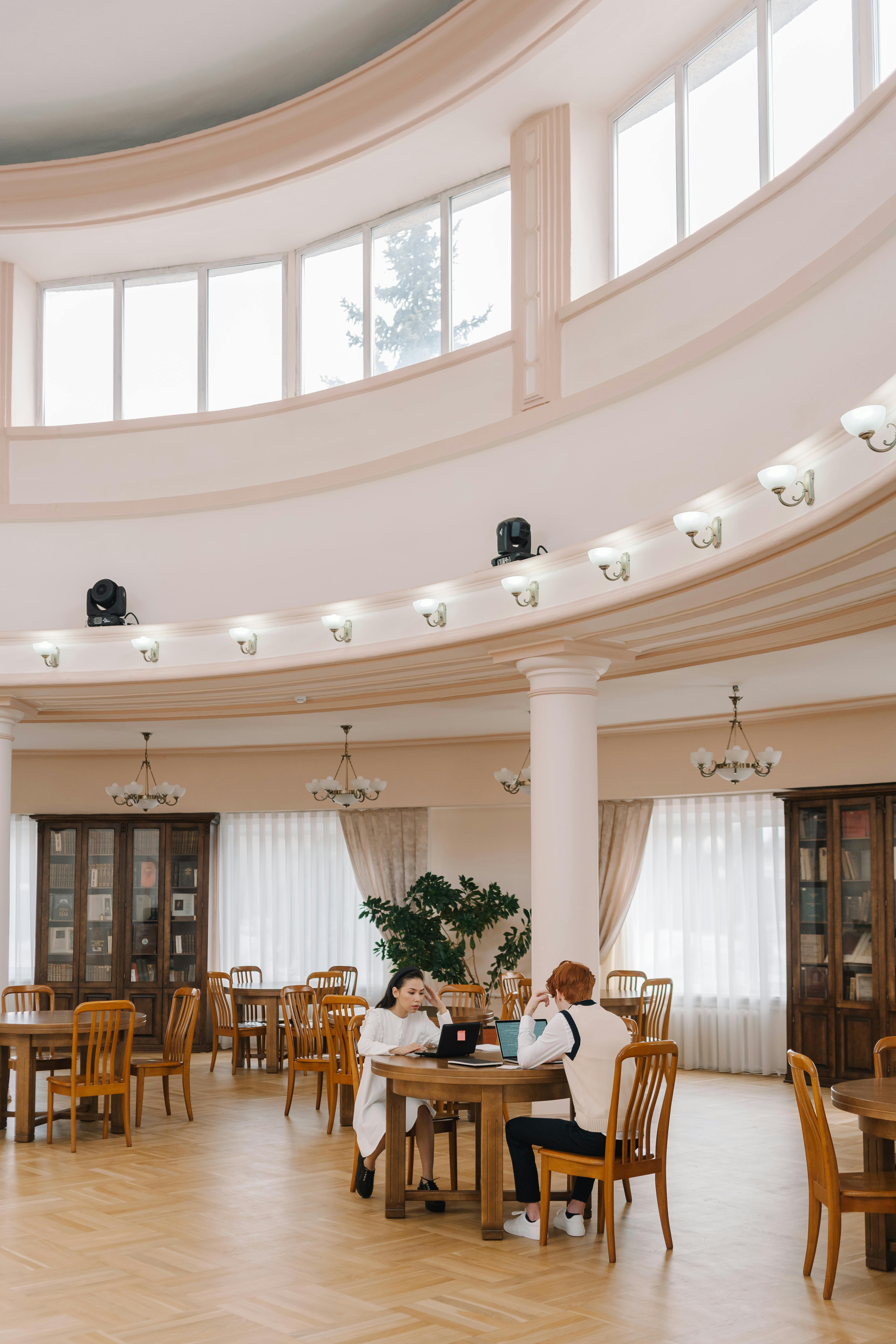 Students Studying Inside a Library · Free Stock Photo