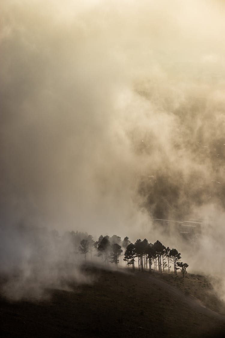 Dust Cloud Engulfing Forest On Hill