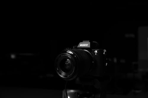 Free Black Sony Camera in Grayscale Photography Stock Photo