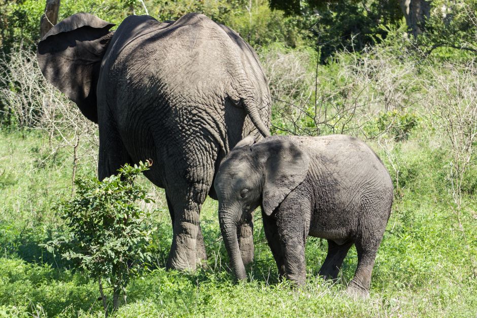 Explore Nigeria's Thrilling Adventure Destinations