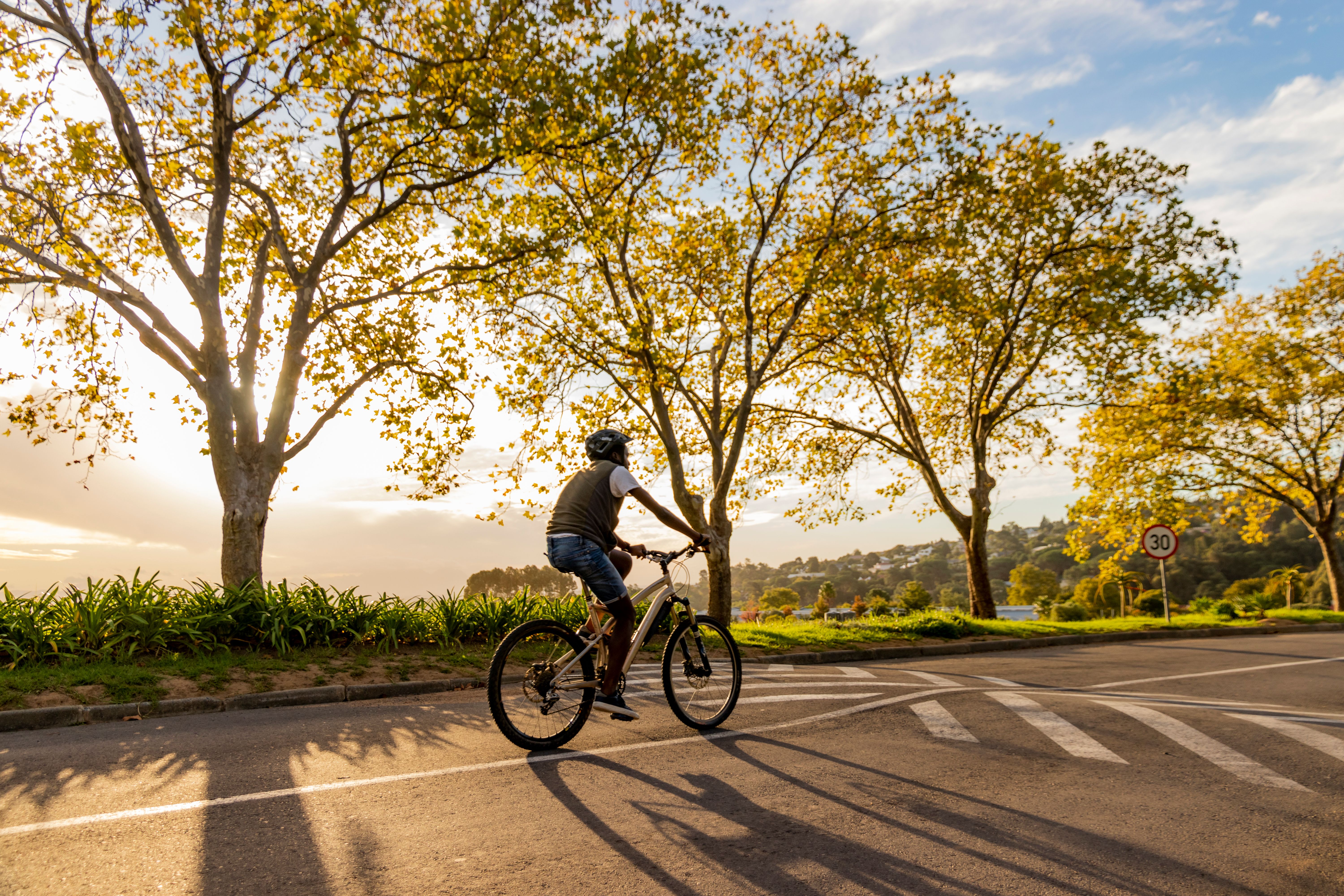 A man rides his bicycle on a sunlit path with autumn trees, creating a serene outdoor scene.