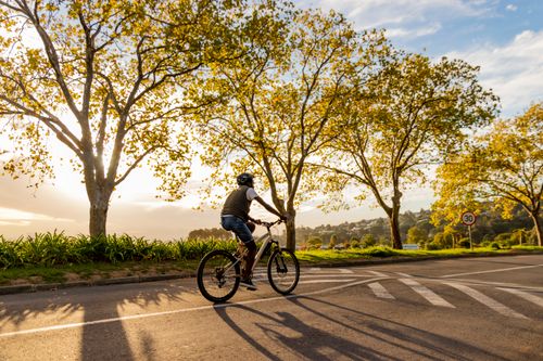 Free A man rides his bicycle on a sunlit path with autumn trees, creating a serene outdoor scene. Stock Photo