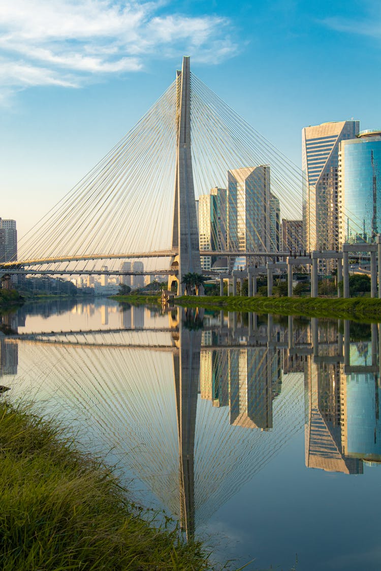 Ponte Octavio Frias De Oliveira