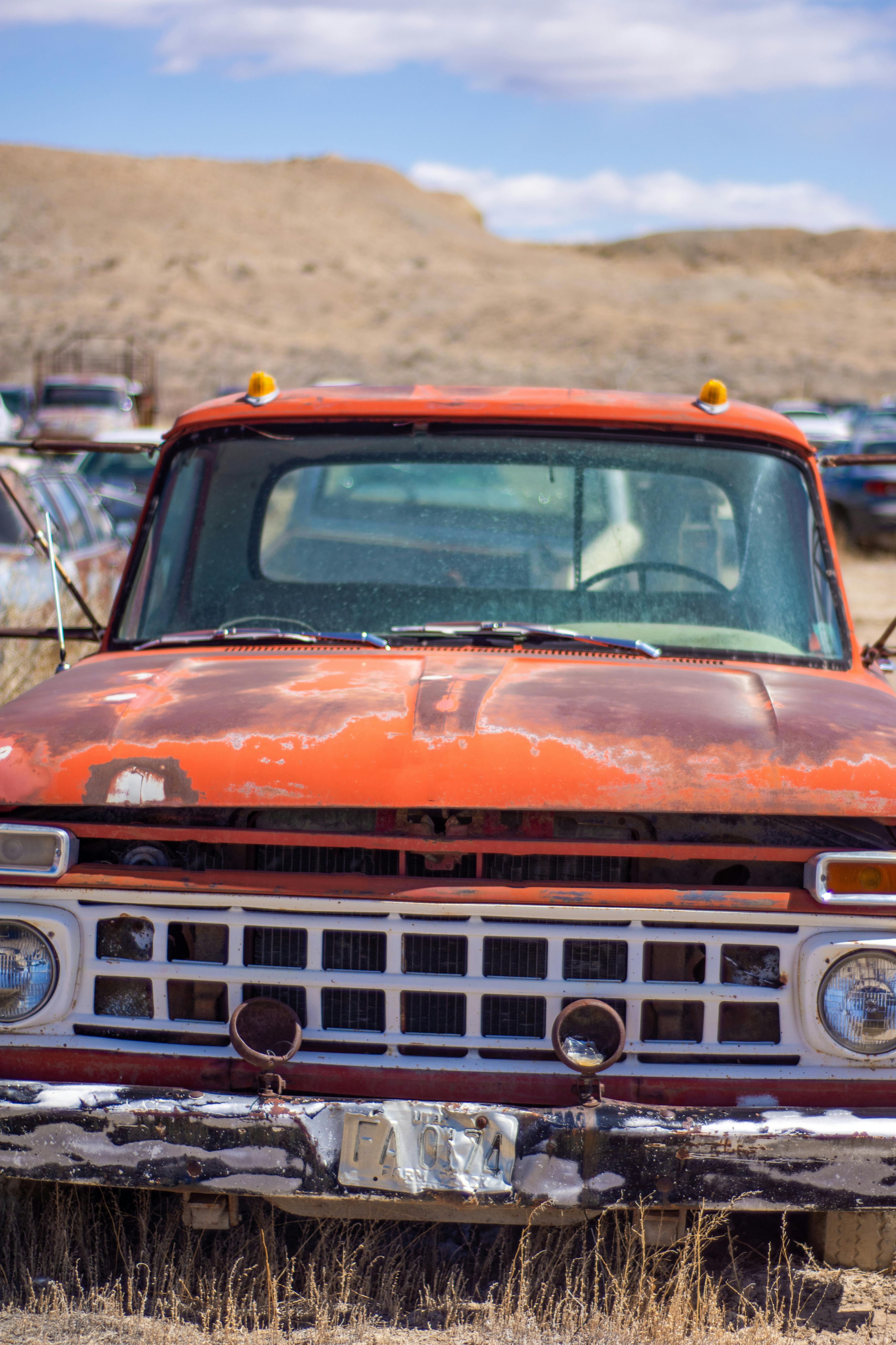 Grünes Und Braunes Fahrzeug Im Wald · Kostenloses Stock Foto