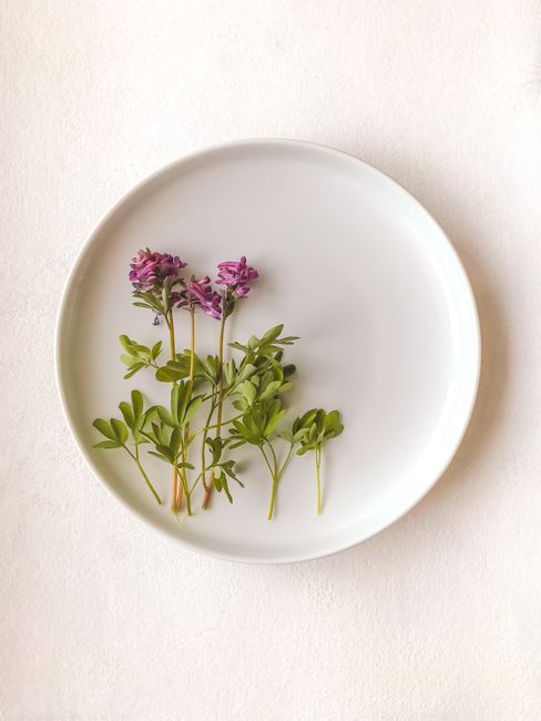 Top view of purple flowers with green leaves on stems arranged on round plate on white background in light room