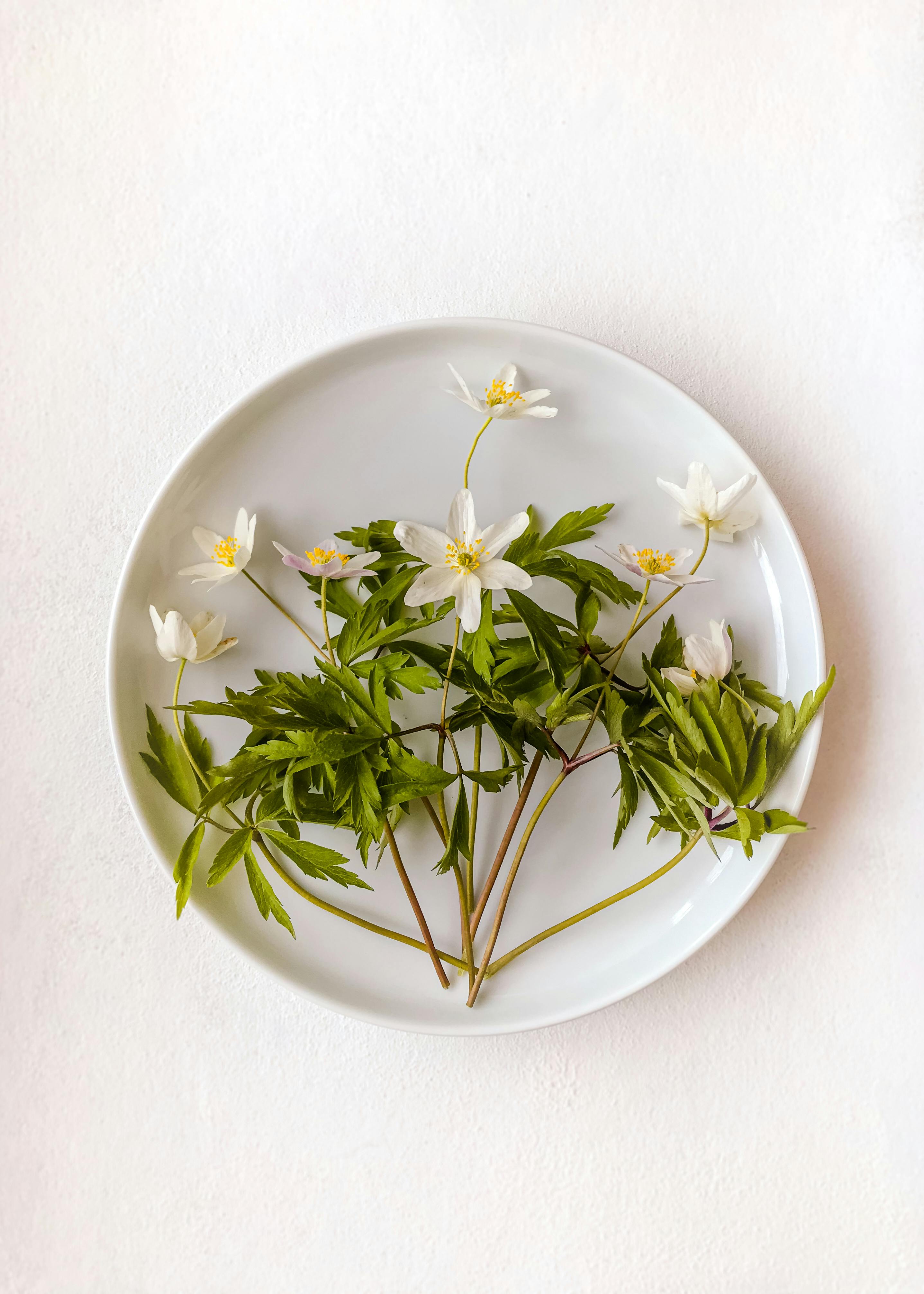 How many rounds can a pistol shoot in its lifetime?