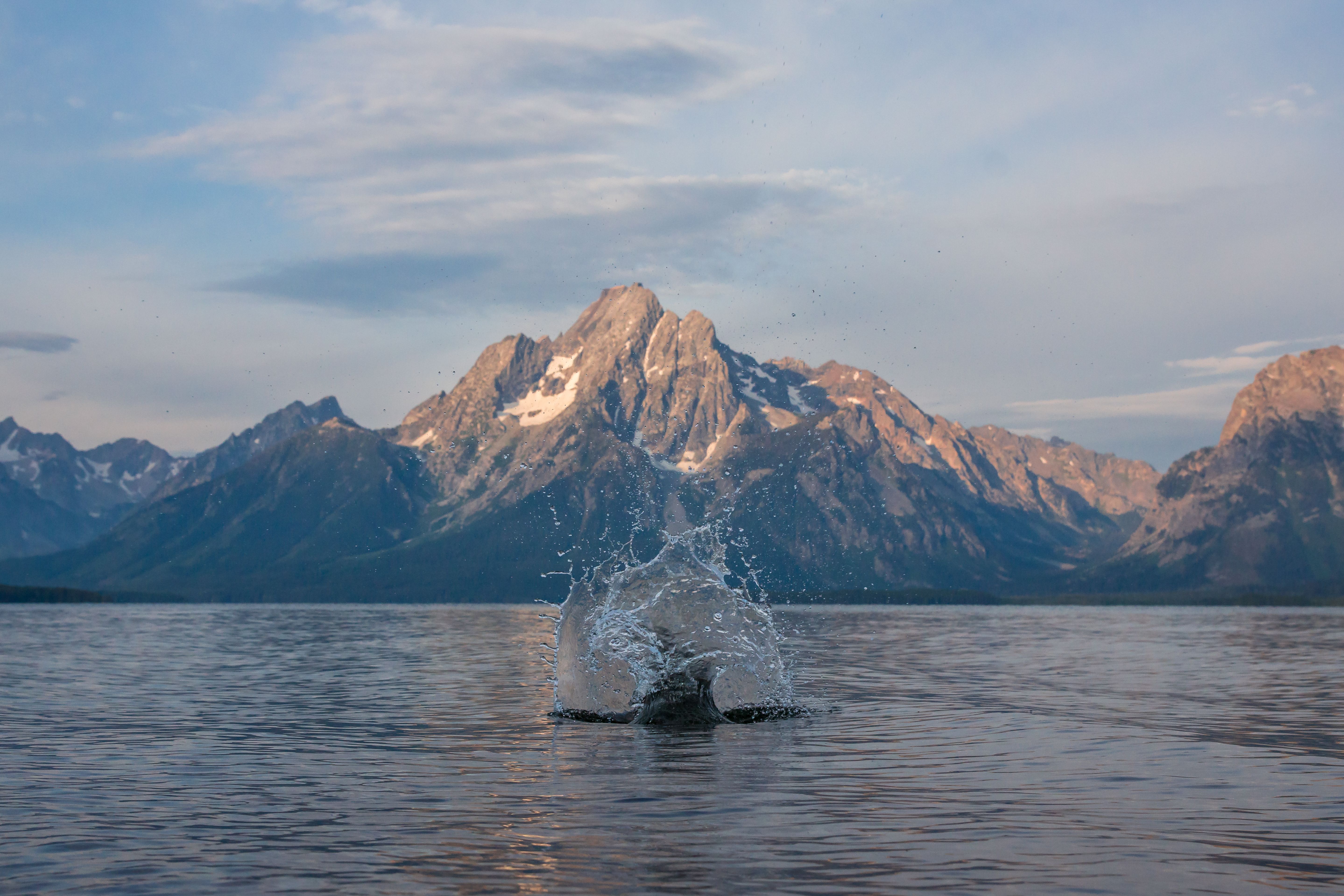 Wyoming tightens wastewater rules after Meta datacenter contractor flushed contaminated water — Photo by EG Images on Pexels