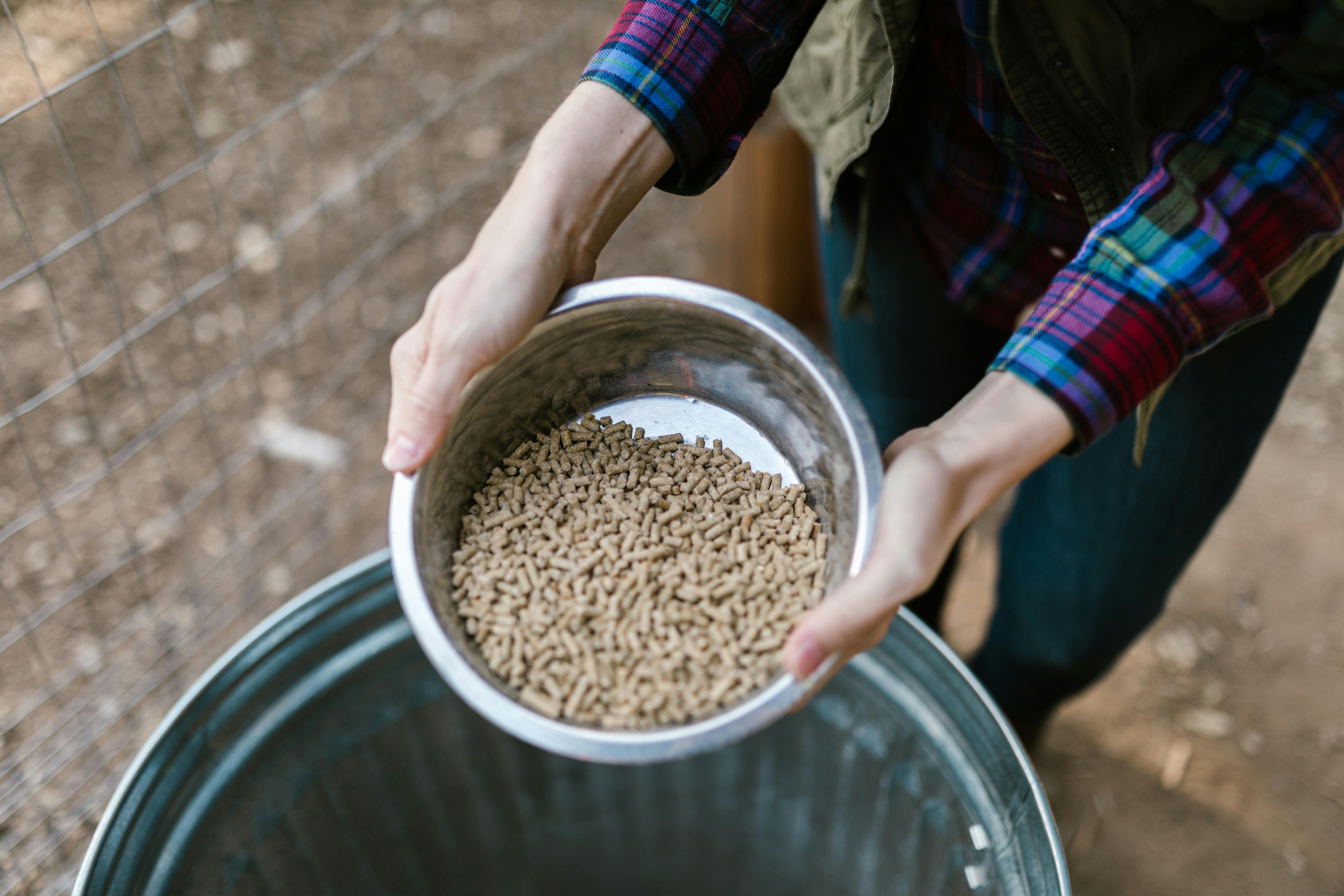 holistic vs traditional pet nutrition 2026