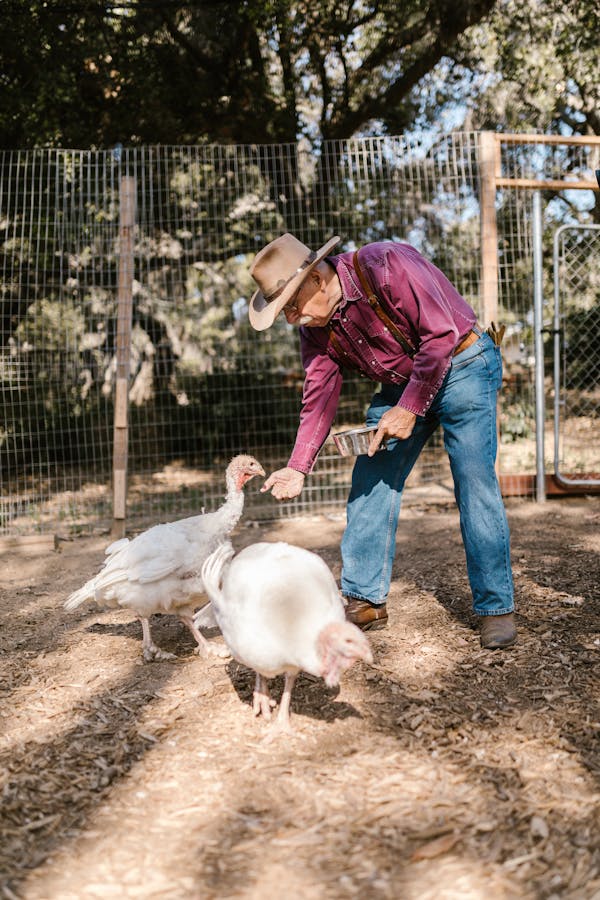 Farmer Feeding His Birds
