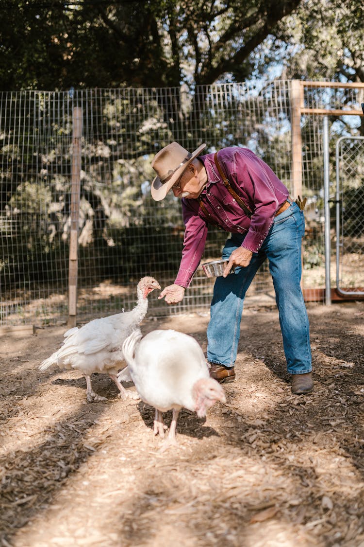 Farmer Feeding His Birds