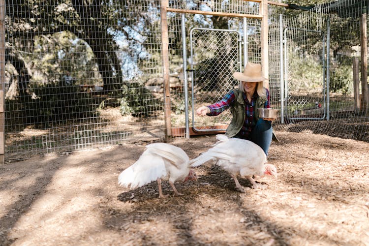 A Woman Feeding The Birds