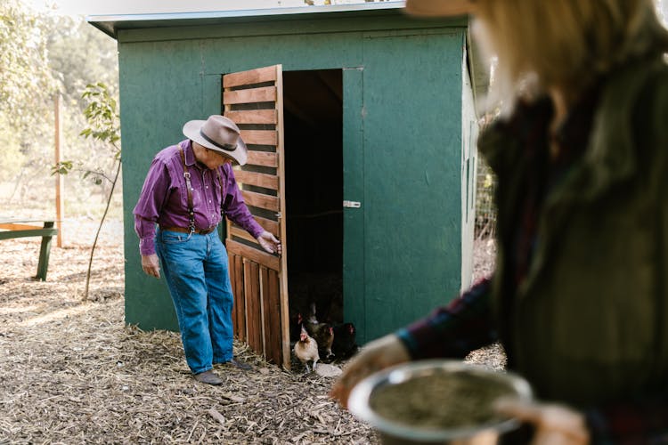 A Man Feeding The Chicken