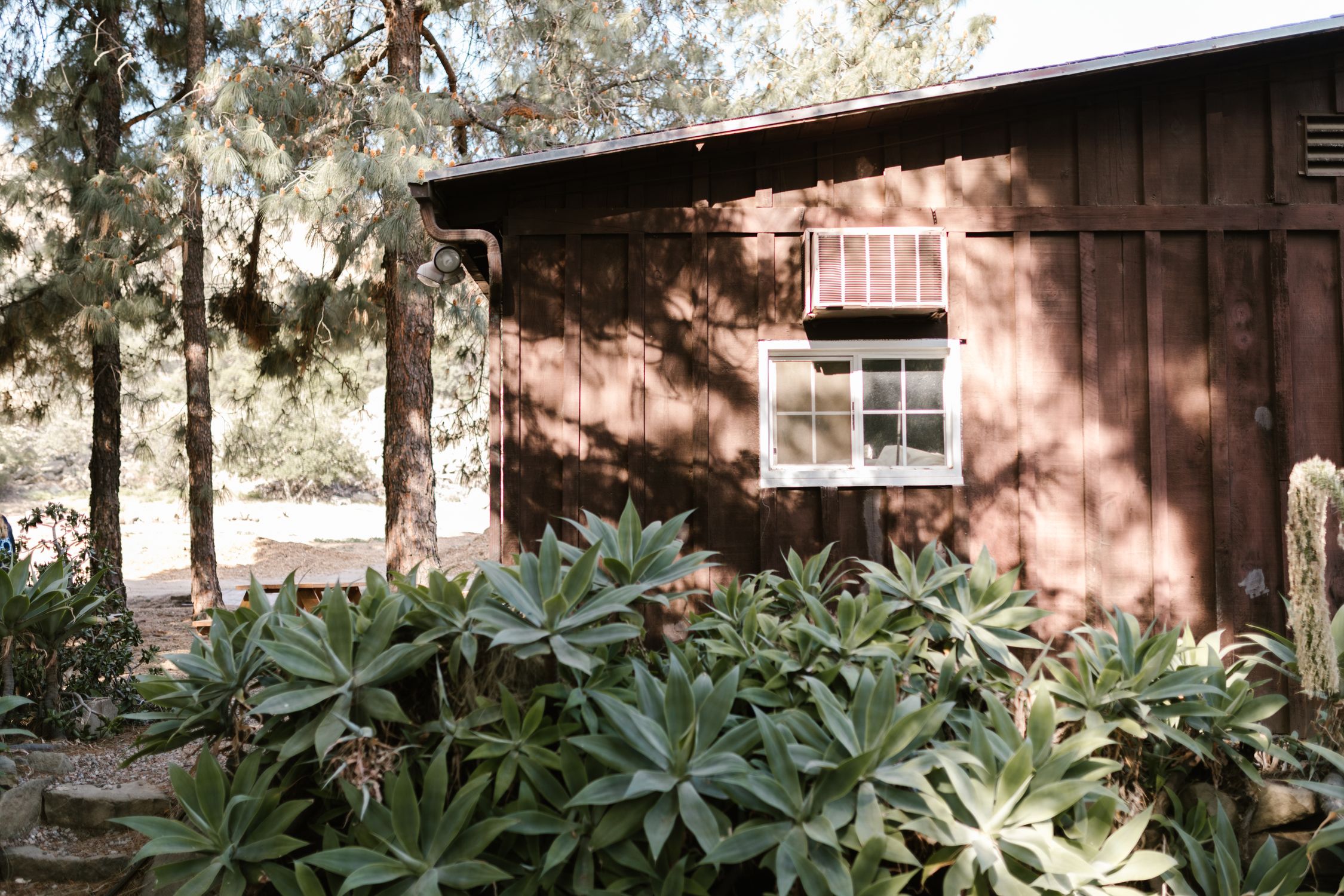 Side view of a rustic wooden cabin surrounded by lush plants and trees in a serene countryside setting.