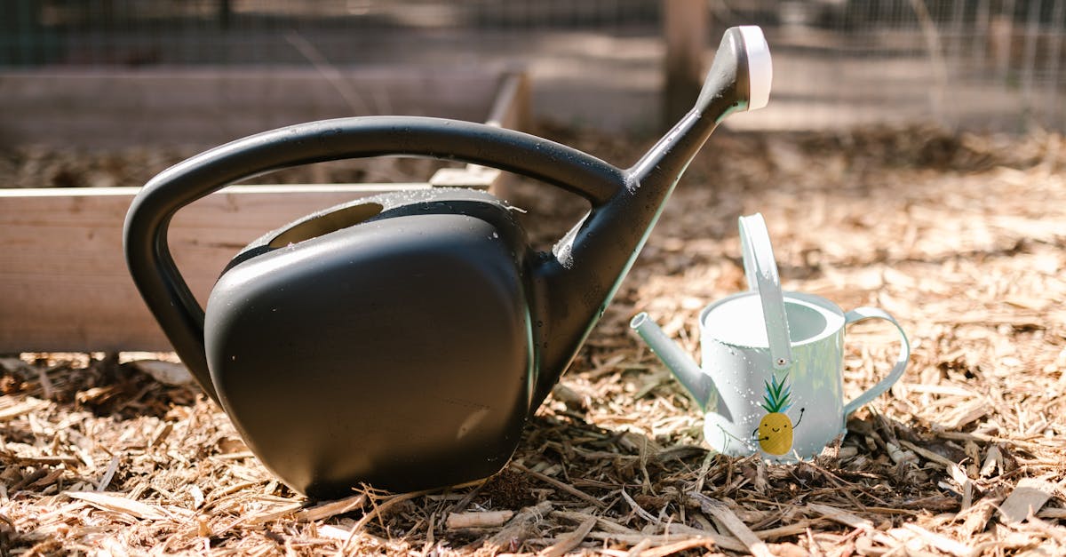 Watering Can