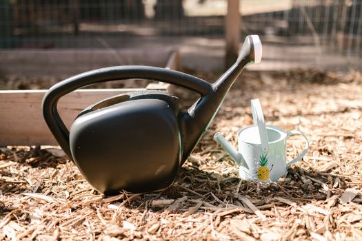 Can I Use Greywater for Irrigation? A Comprehensive Guide for Beginners