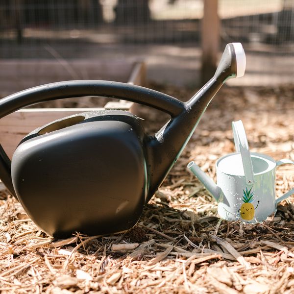 Metal Watering Can