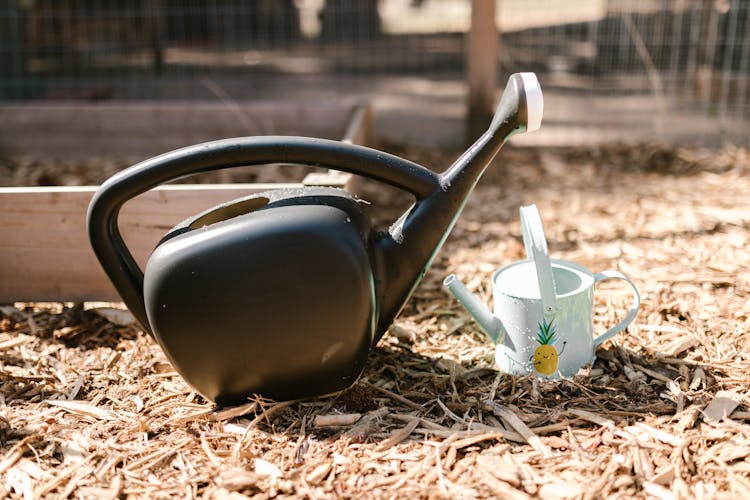 Watering Cans On Dried Leaves