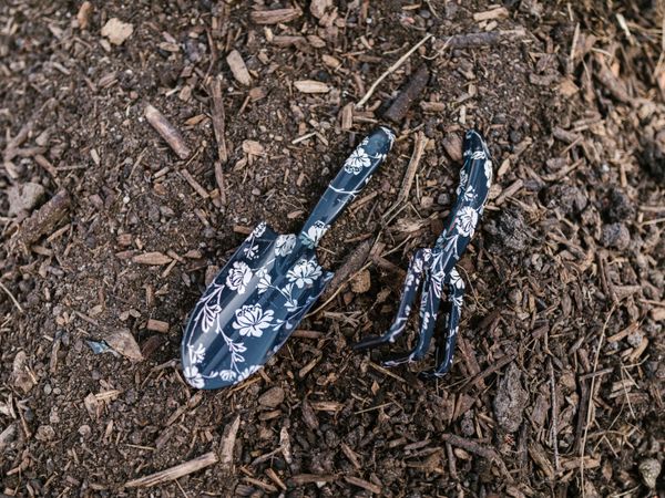 Garden trowel and rake resting on soil