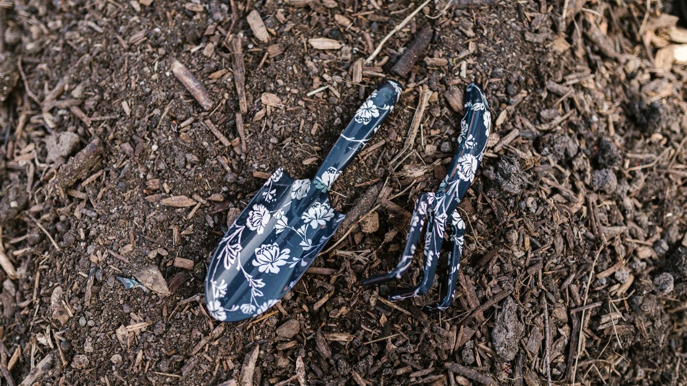 Garden tools every beginner needs — and the surprising one that changed everything