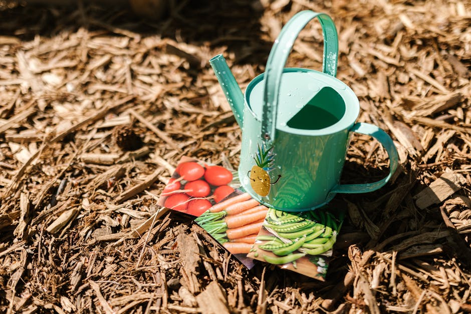 Colorful watering can and seed packets on mulch, perfect for gardeners.