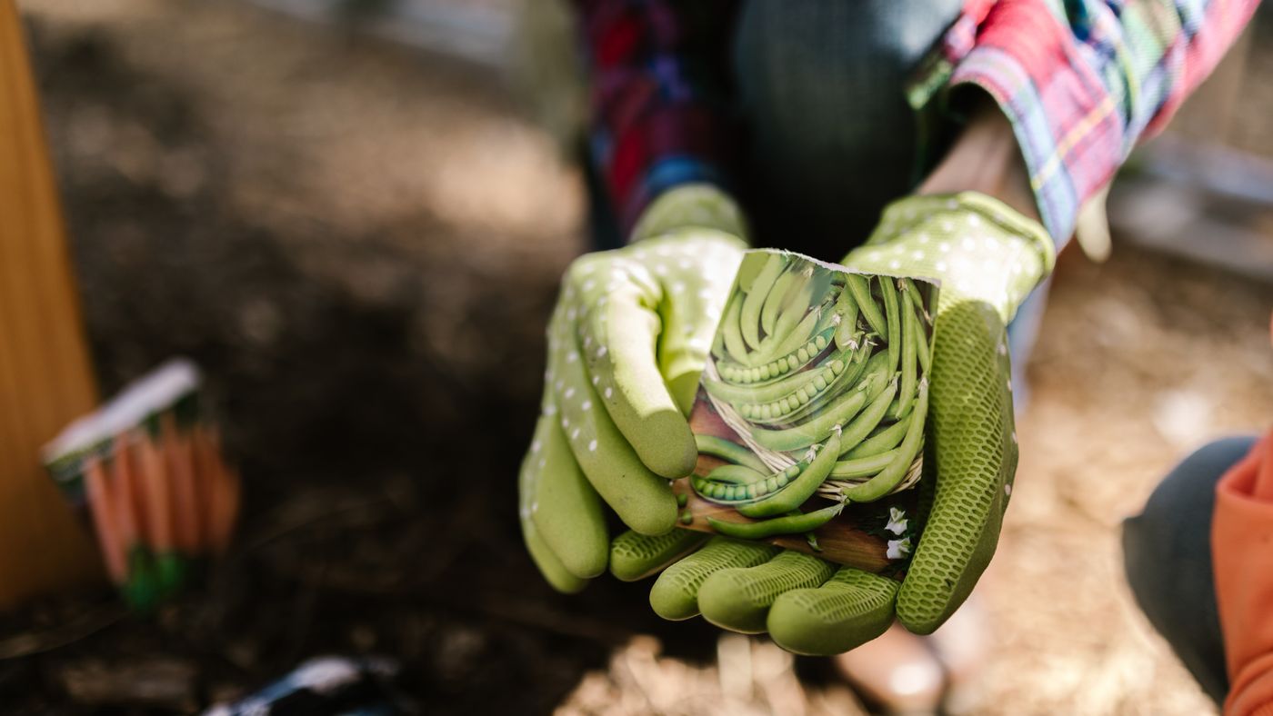 Are Paid Home Gardening Clubs Actually Worth the Membership?