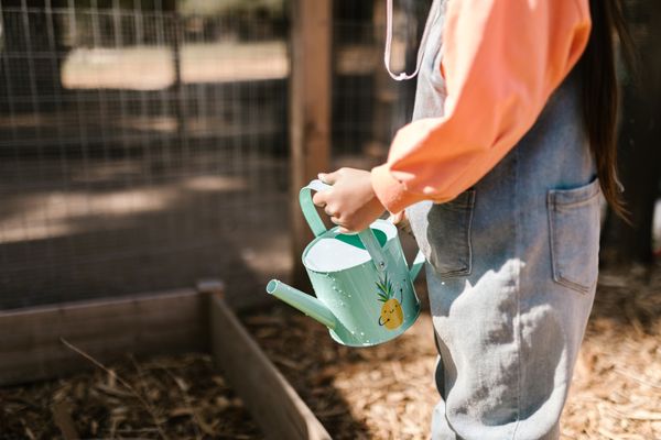 Child watering garden with can