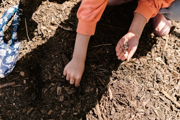 A Kid Planting Seeds On The Ground