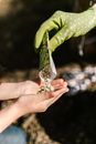 Free stock photo of adult, agriculture, blur