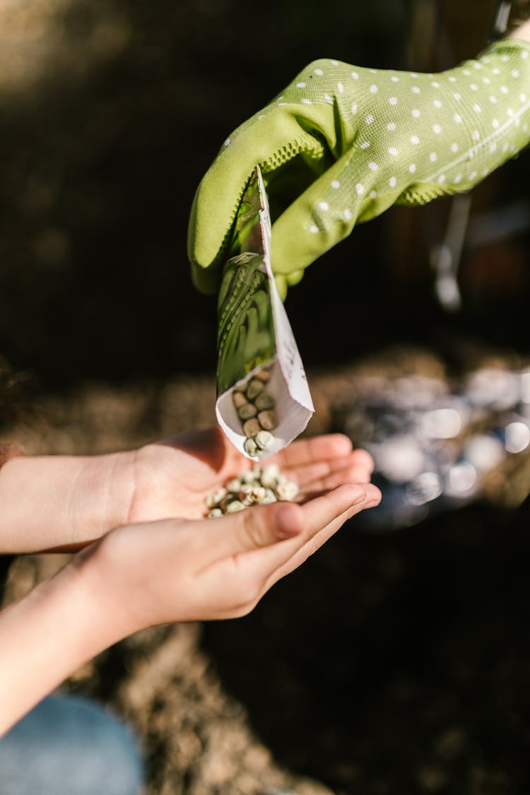 Person Pouring A Packet Of Seeds On Child's Hands