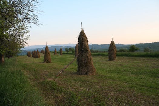 Idyllic rural landscape with haystacks at sunset, offering a serene country view.