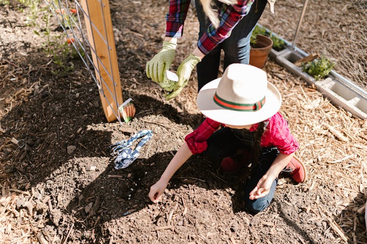 A Kid Planting Seeds On The Ground Soil