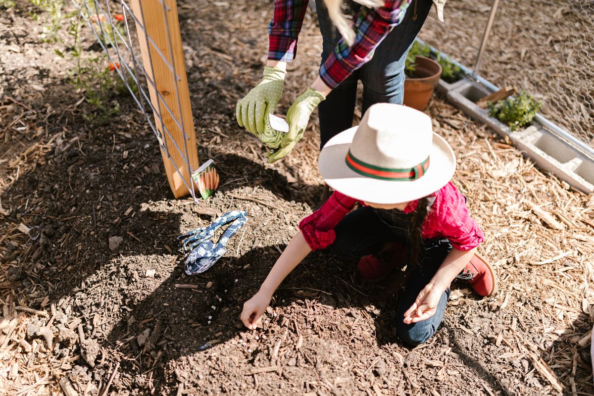 An adult and child planting seeds together
