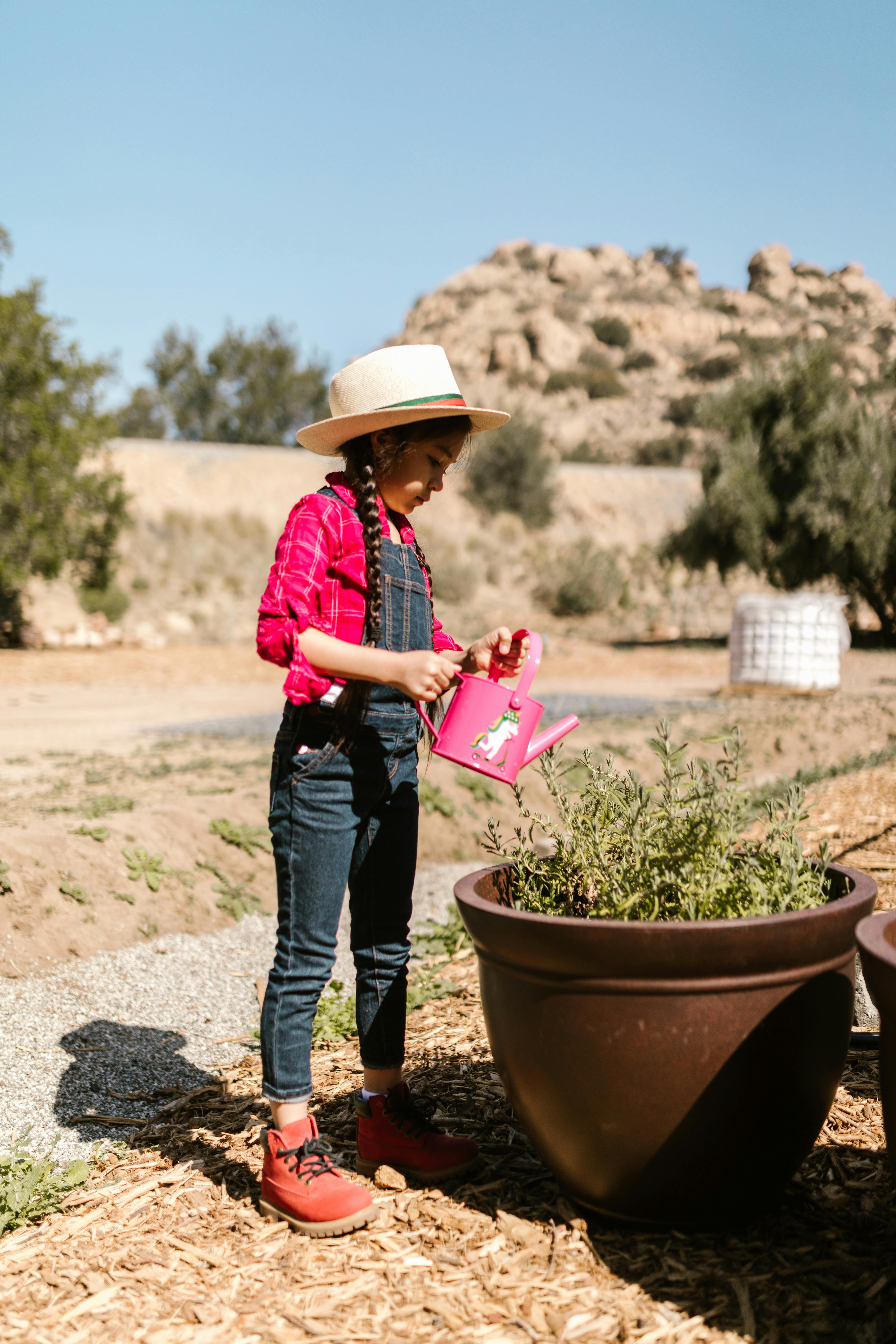 Can I have a portaloo in my garden?
