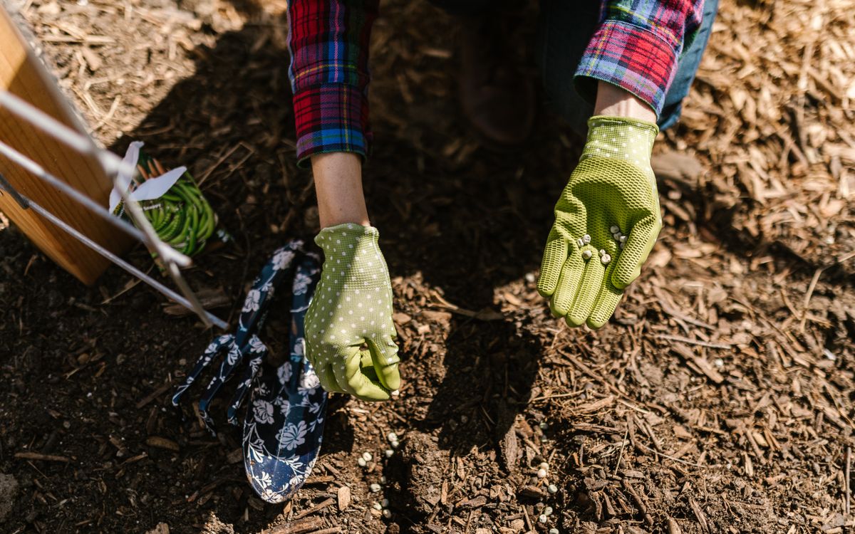 Person in checkered shirt planting seeds with green gloves in a garden.
