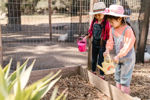 Free Two Young Girls Using Watering Cans for Gardening Stock Photo