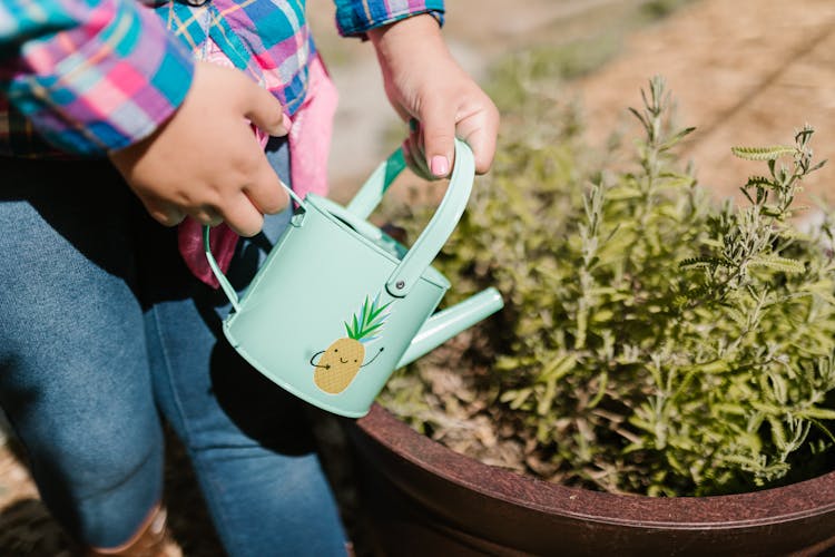 Person Holding Watering Can 