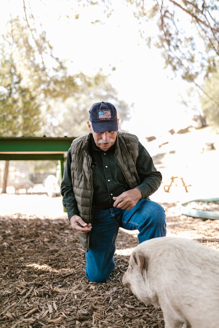 Man Squatting Near A Pig