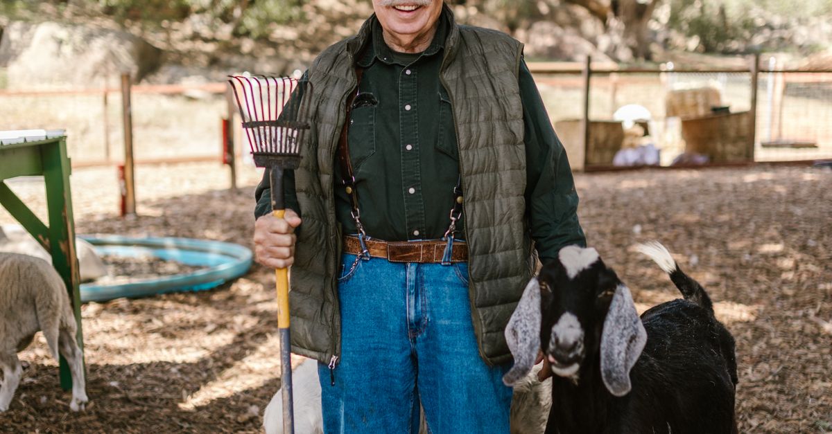 A Black Goat Beside a Man Holding a Rake · Free Stock Photo