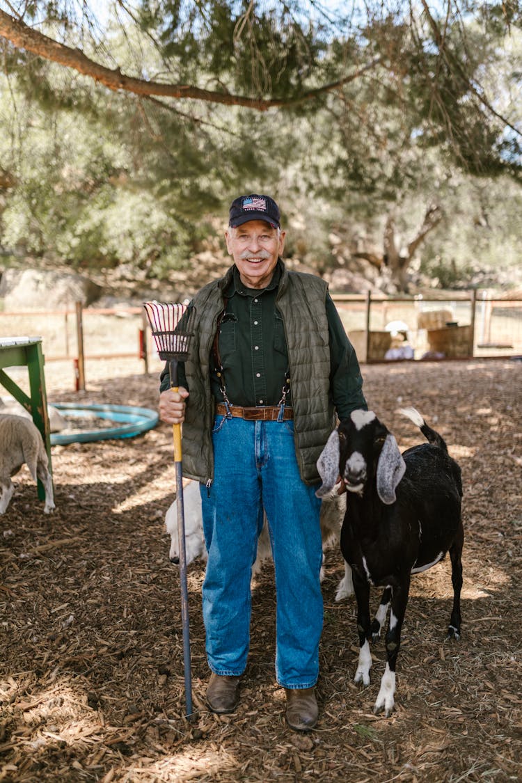 A Black Goat Beside A Man Holding A Rake