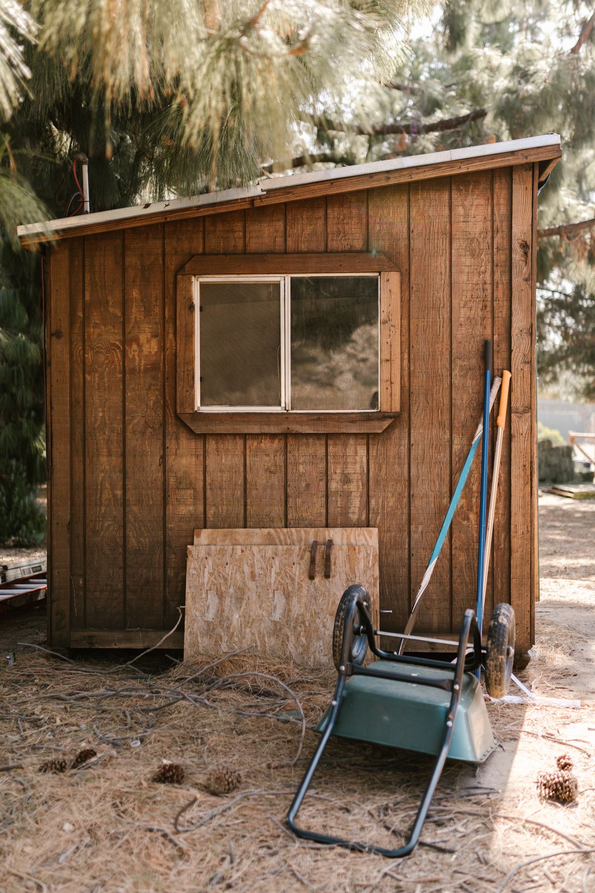 Rustic wooden shed surrounded by farm tools and pine trees