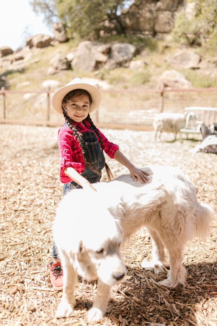 Young Girl Petting A White Dog 