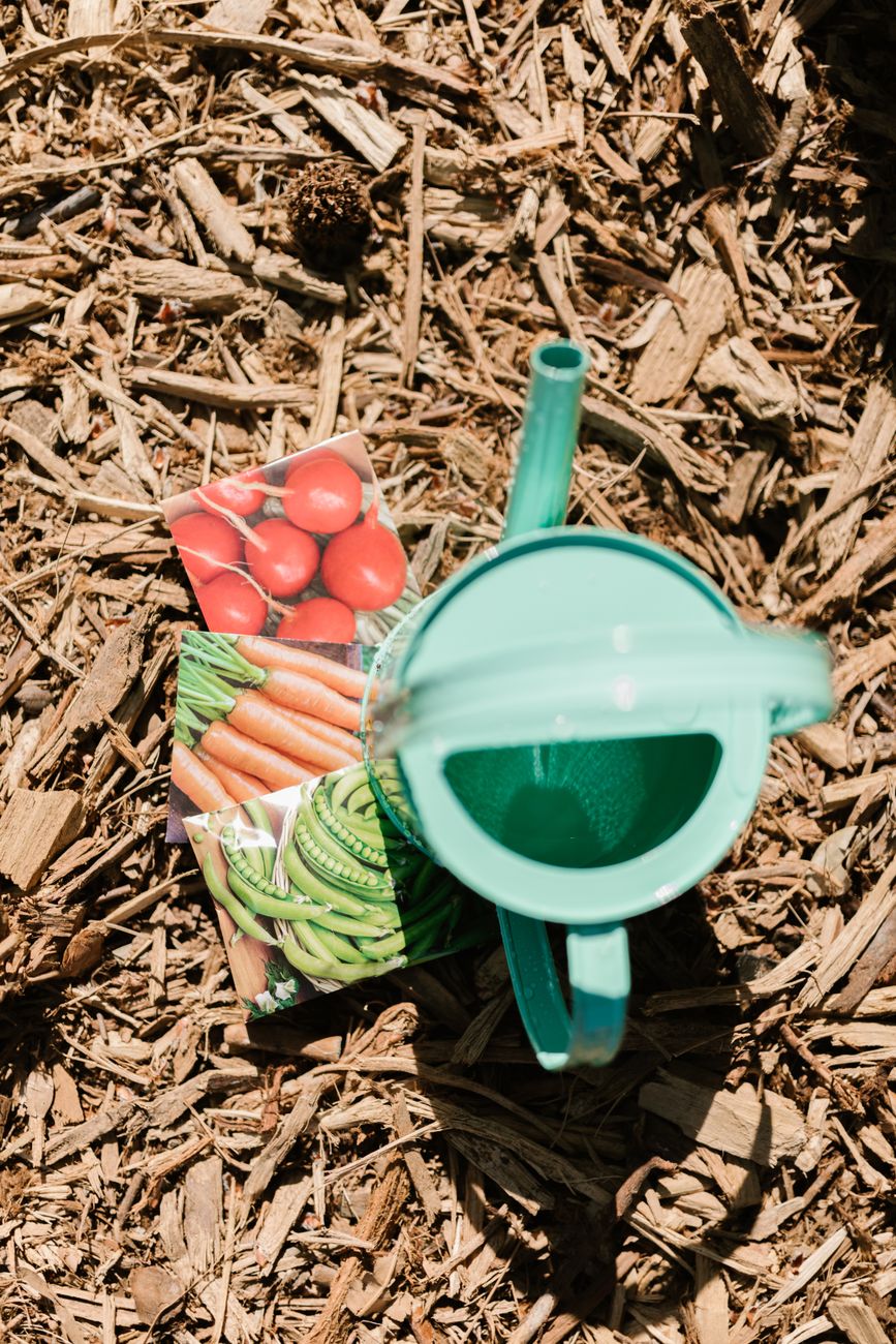 deep planted tomato mulch