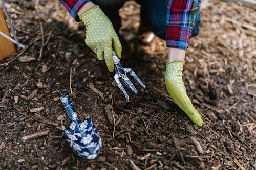 Person Wearing Green Gloves Holding Garden Tools