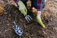 Person Holding Green Chili Pepper
